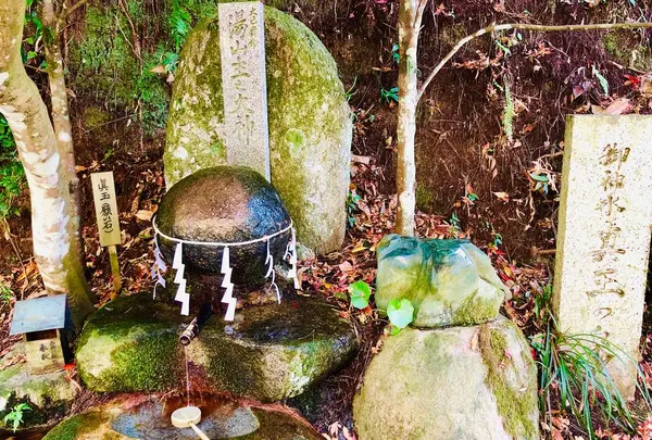玉作湯神社の写真・動画_image_464058