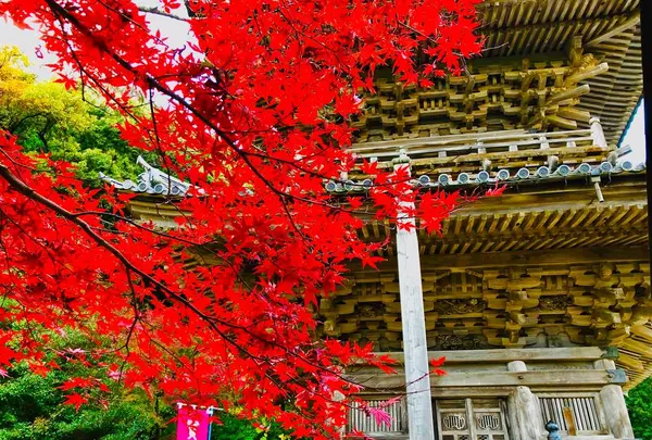 瑞光山 清水寺
