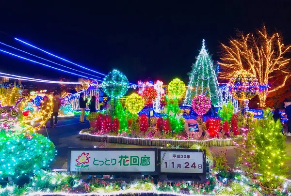 鳥取県立フラワーパークとっとり花回廊の写真・動画_image_464061
