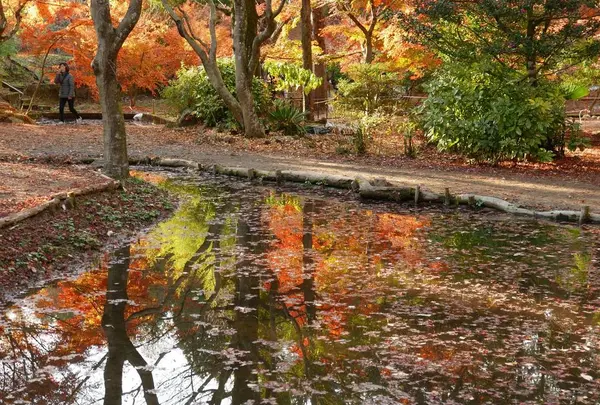 曽木公園の写真・動画_image_464111