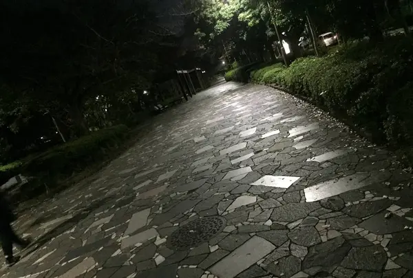 新長島川親水公園