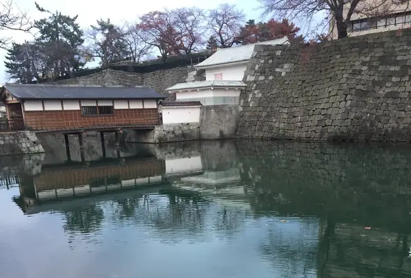 福井城址の写真・動画_image_465001