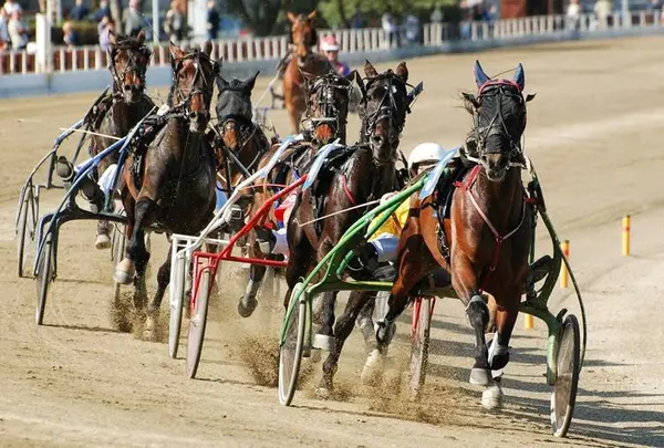 ヴィノーヴォ競馬場