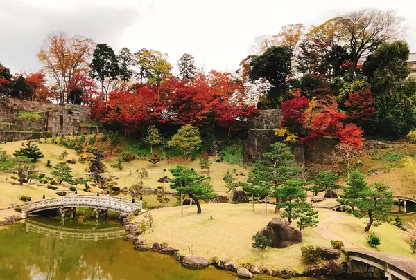 玉泉院丸庭園