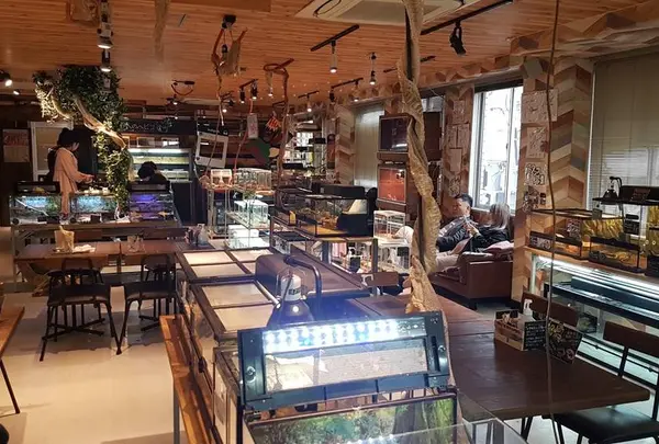 アメリカ村 スネークカフェ