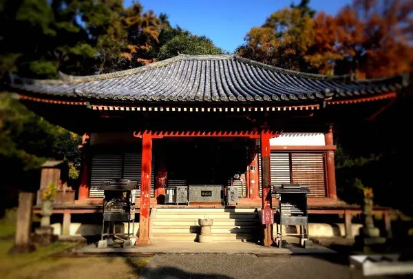 観音寺の写真・動画_image_467056