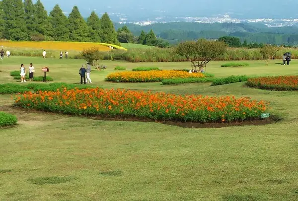 生駒高原