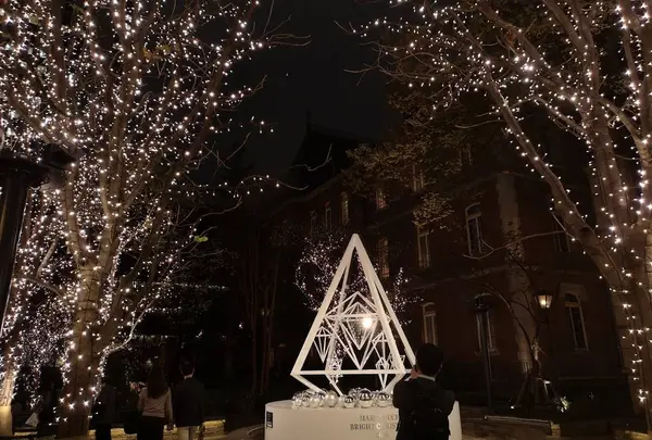 丸の内ブリックスクエア (Marunouchi BRICK SQUARE)の写真・動画_image_467898
