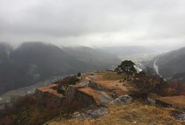 竹田城跡の写真・動画_image_468834