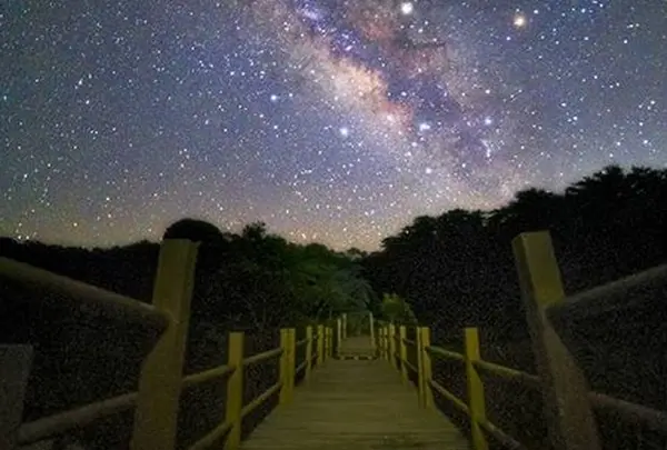 国頭村森林公園