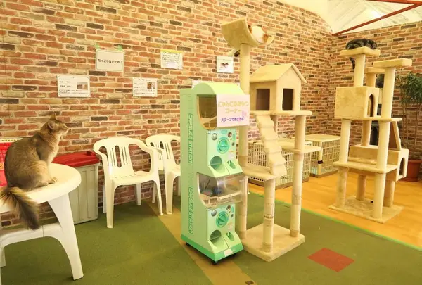ふれあい どうぶつランド だっこして！ZOO！