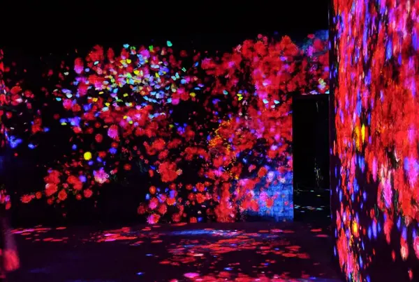 【閉業】森ビルデジタルアートミュージアム：エプソン チームラボボーダレス（MORI Building Digital Art Museum: EPSON teamLab Borderless）の写真・動画_image_472608