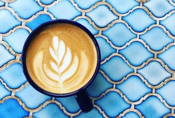 Coffee Talkの写真・動画_image_473430