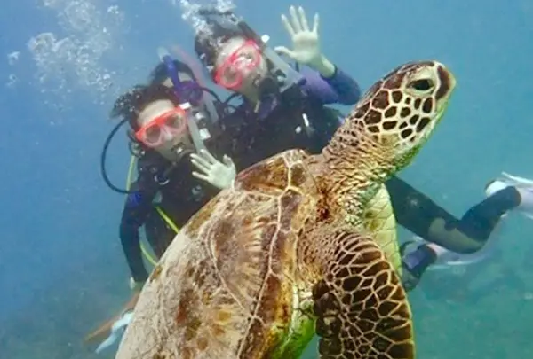 Sunshine Scuba