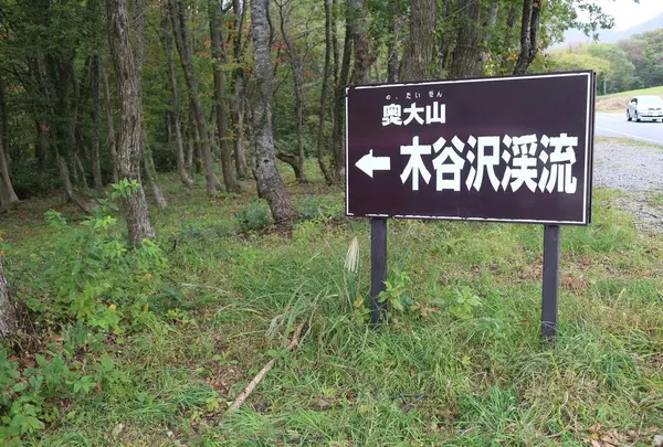 木谷沢渓流