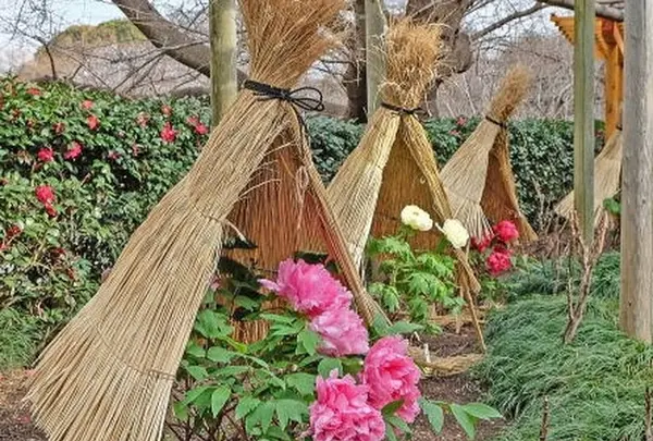 鶴岡八幡宮 神苑 ぼたん庭園