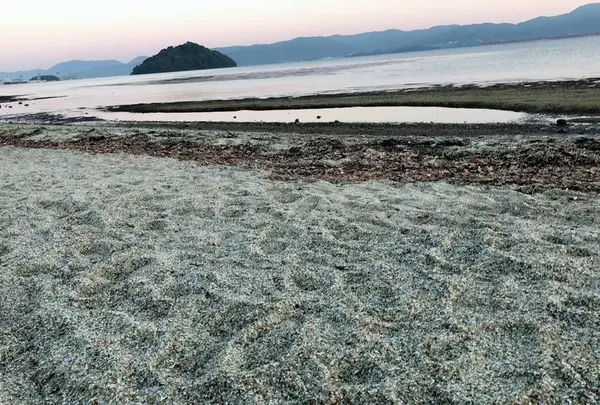 ガラスの砂浜