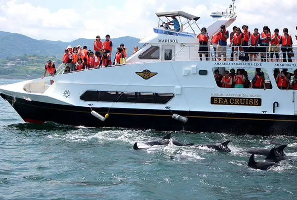 シークルーズマリーナ