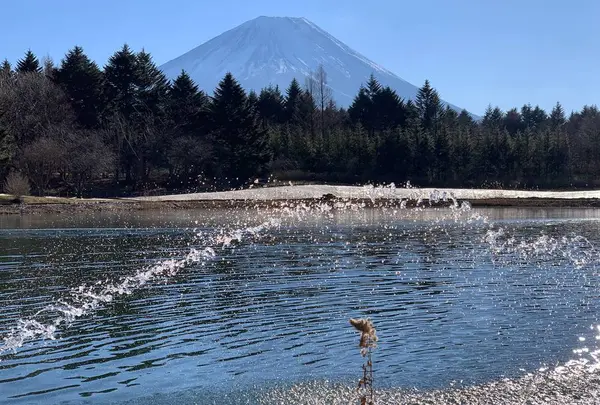 富士本栖湖リゾート