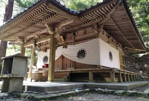 木の根道