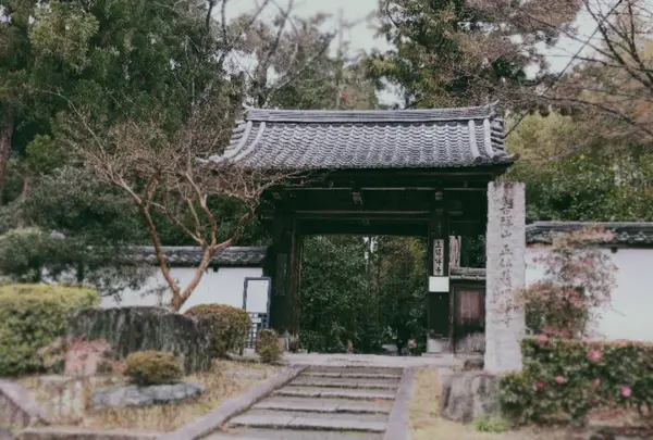 正伝寺の写真・動画_image_479602