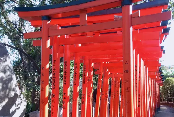 乙女稲荷神社の写真・動画_image_480593