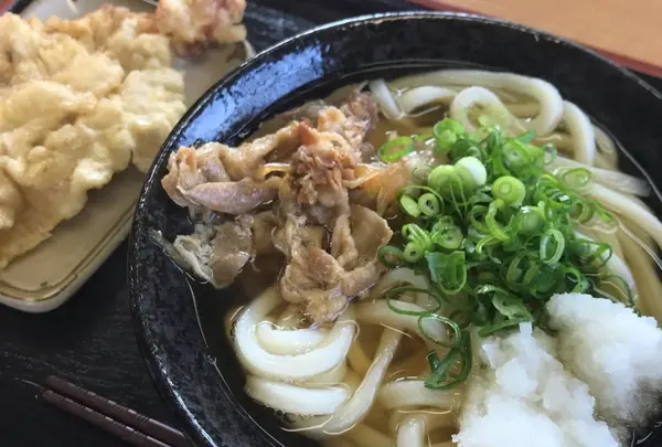 讃岐うどん やなぎ屋 西大浜店の写真・動画_image_481705