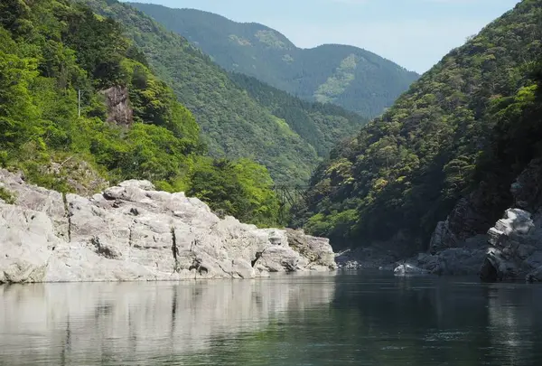 大歩危峡の写真・動画_image_481706