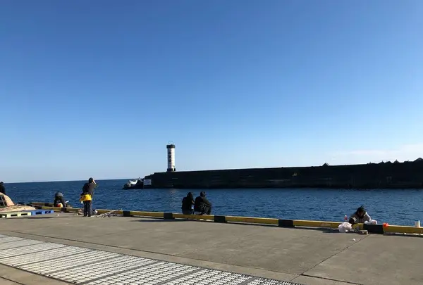 早川港の写真・動画_image_482056