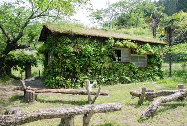 森ラジオステーション