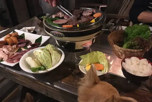 日の出焼肉店の写真・動画_image_488311