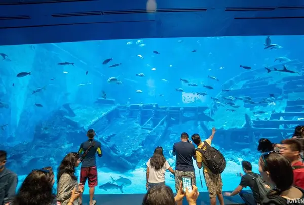 マリーン・ライフ・パーク（シー・アクアリウム）