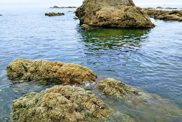 笹川流れ
