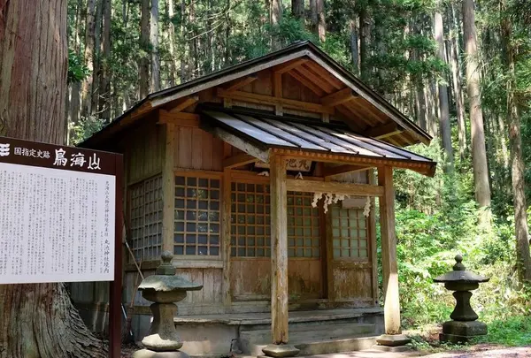 丸池様