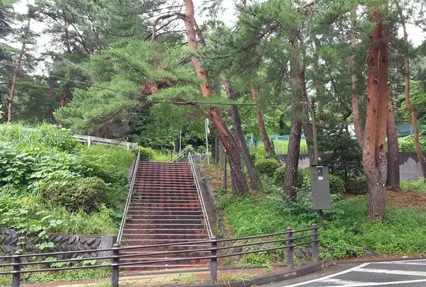 いろは坂桜公園