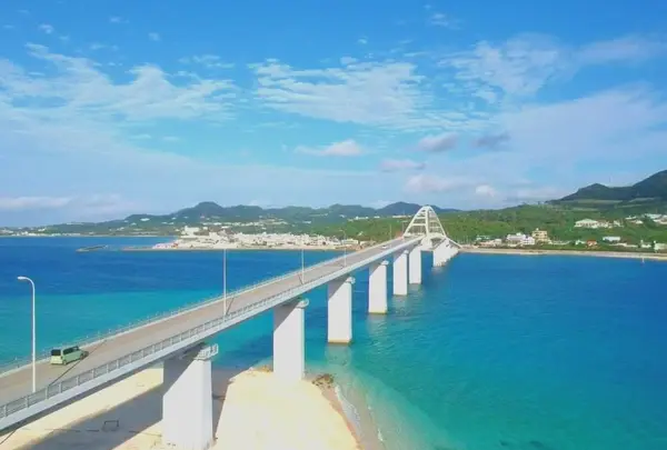 アンチ浜