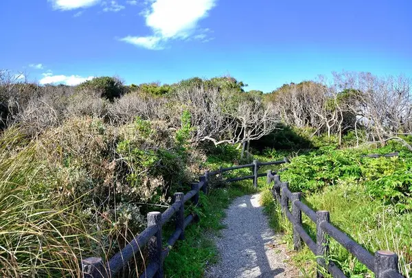 天神島臨海自然教育園