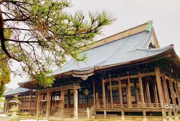 専照寺（中野本山）