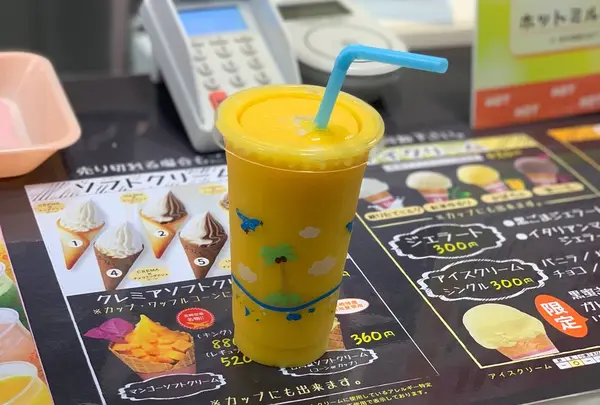 パームの写真・動画_image_505660