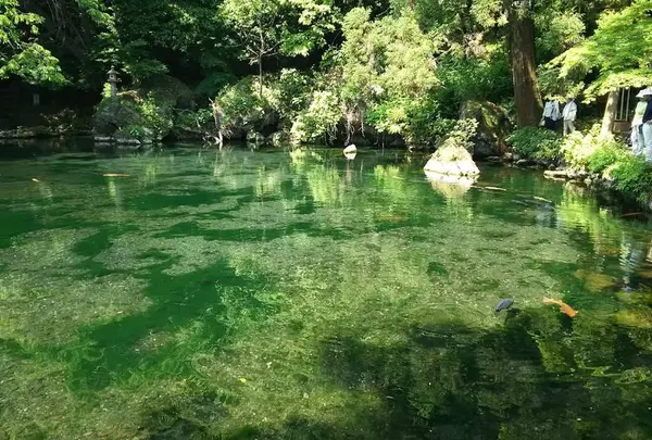 出流原弁天池