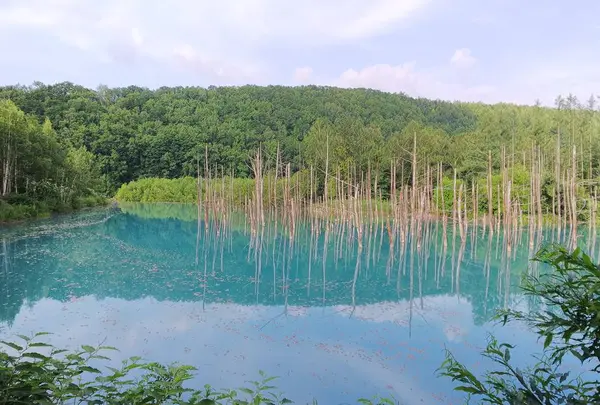 青い池