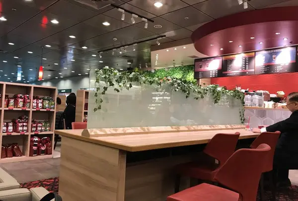 天空の庭 星のなる木