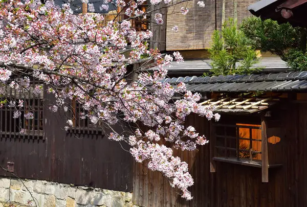 祇園白川