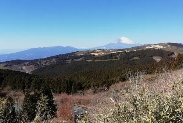 箱根峠の写真・動画_image_517898