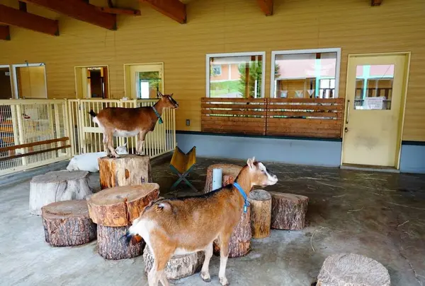 おびひろ動物園