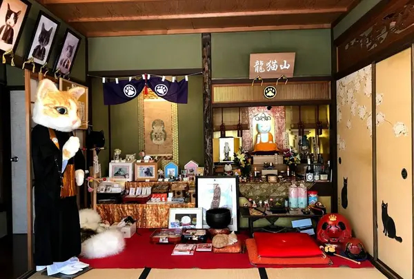 猫猫寺