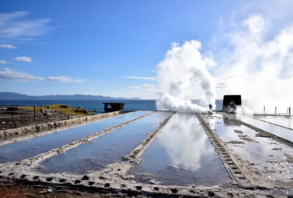 指宿温泉の写真・動画_image_521186