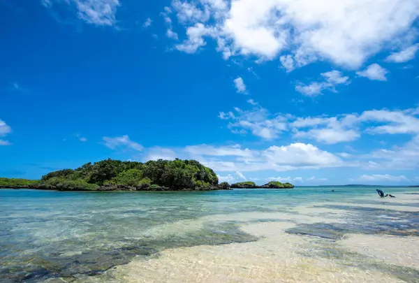 西表島の写真・動画_image_521197