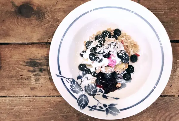 branch（ブランチ）の写真・動画_image_521214