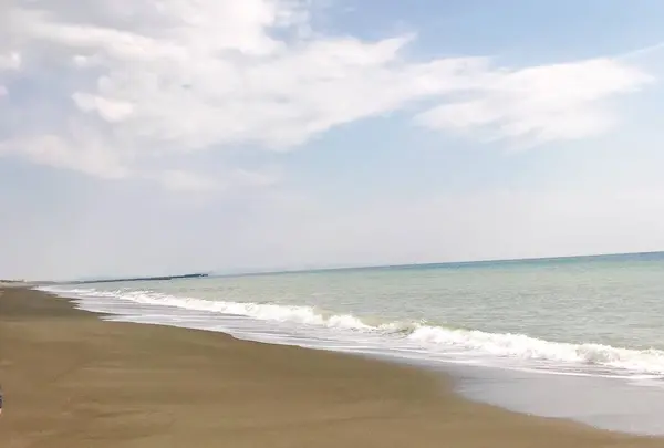 虹ケ浜の写真・動画_image_521332